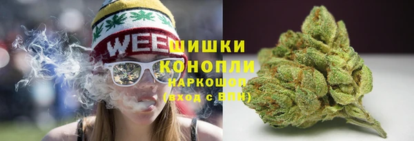 PSILOCYBIN Семилуки