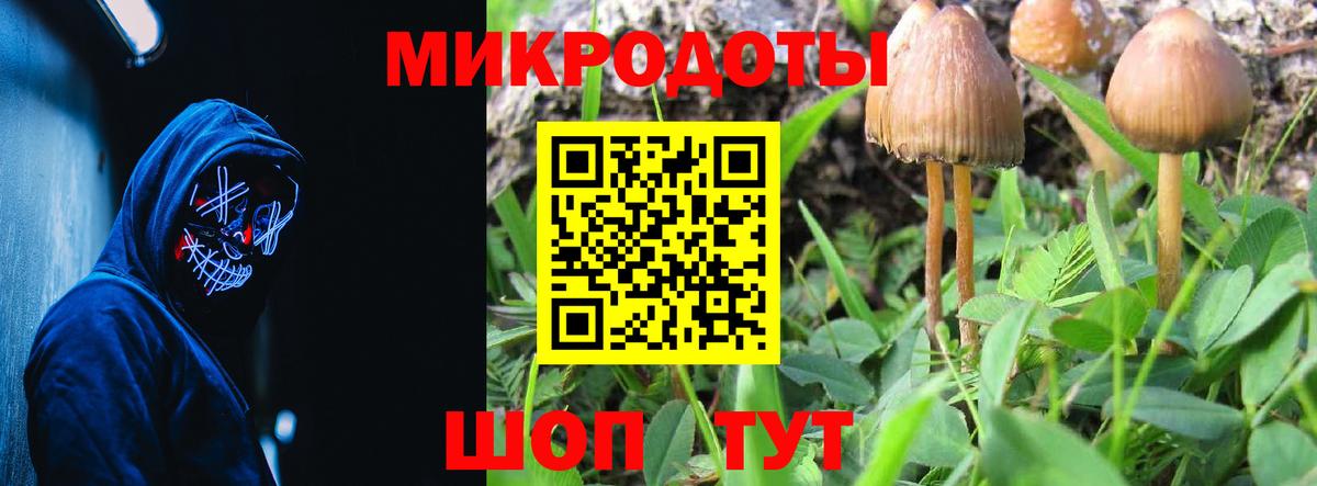 Кимры  Галлюциногенные грибы Psilocybe  Галлюциногенные грибы Magic Shrooms  Вход с VPN 